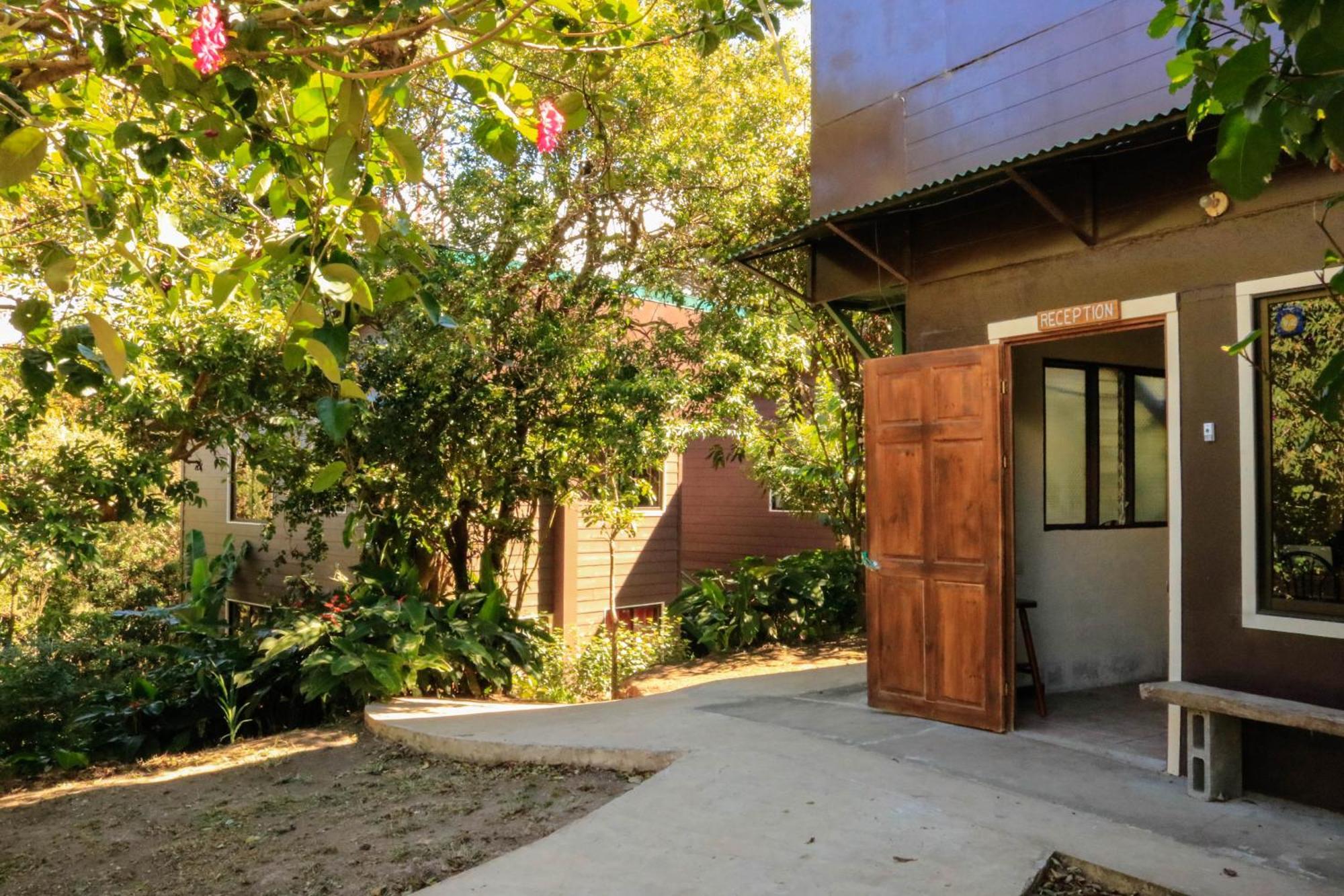 Moon Forest Apartments Monteverde Exterior foto