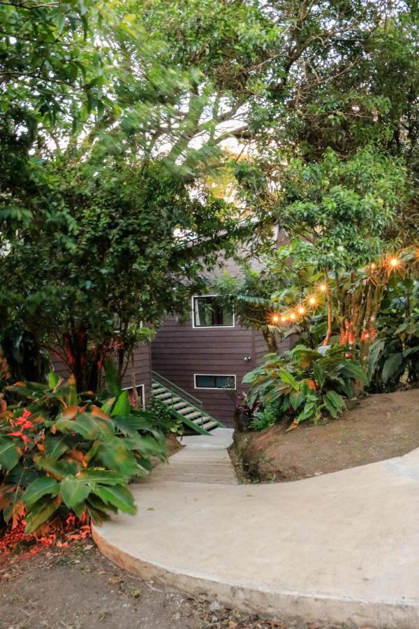 Moon Forest Apartments Monteverde Exterior foto