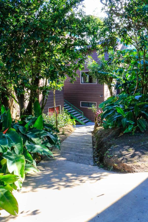 Moon Forest Apartments Monteverde Exterior foto