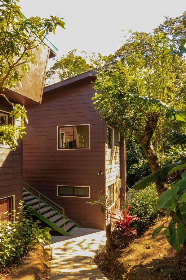 Moon Forest Apartments Monteverde Exterior foto