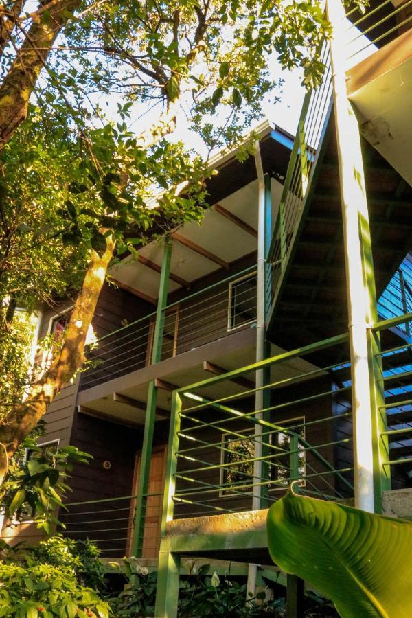Moon Forest Apartments Monteverde Exterior foto
